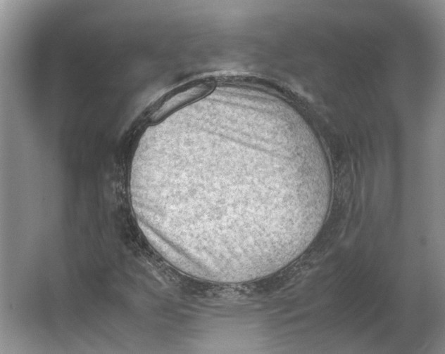 X0000062871255200601271547