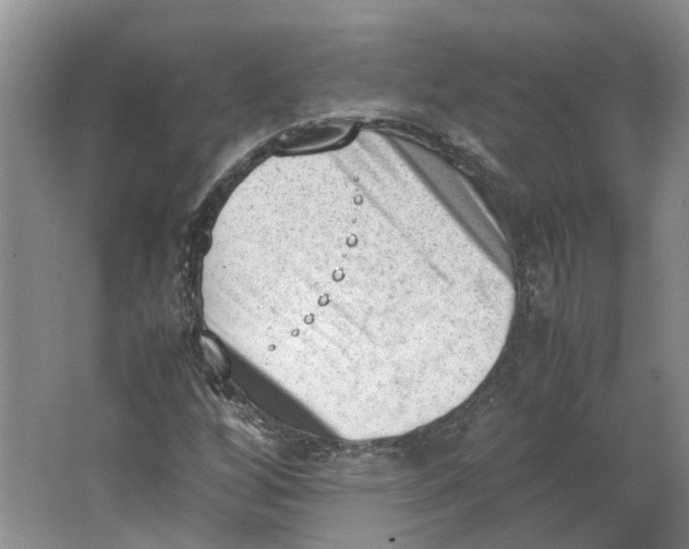 X0000062871256200601271547