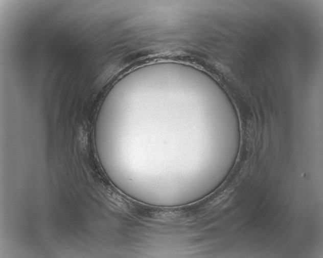 X0000062871257200601271547