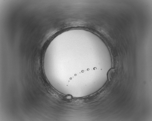 X0000062871261200601271547