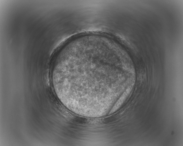 X0000062871262200601271547