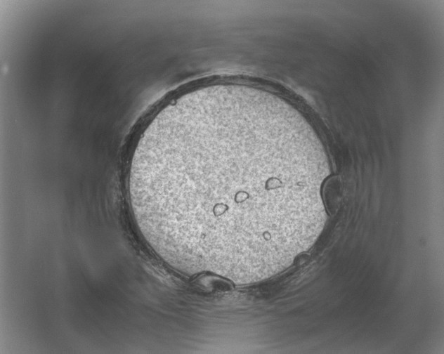 X0000062871263200601271547