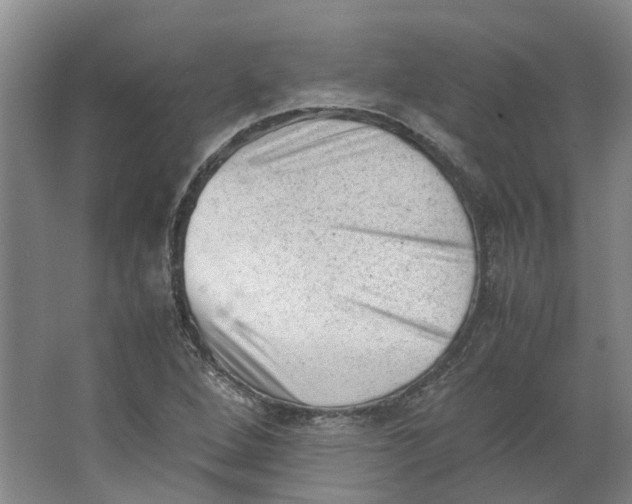 X0000062871264200601271546