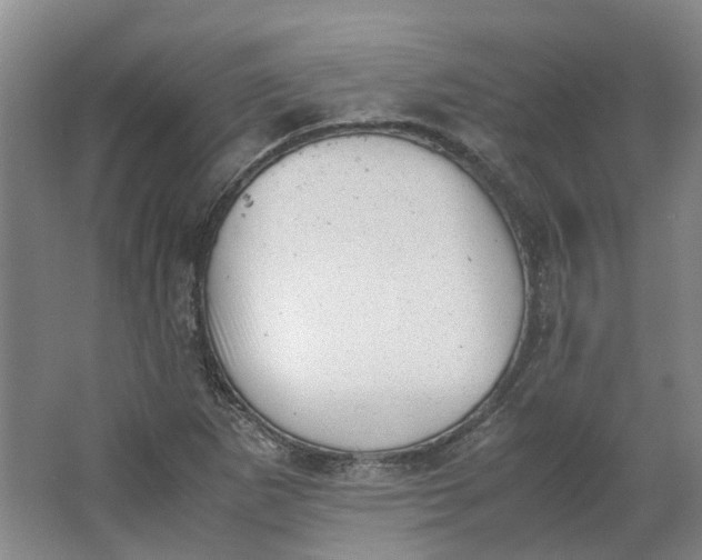 X0000062871265200601271546