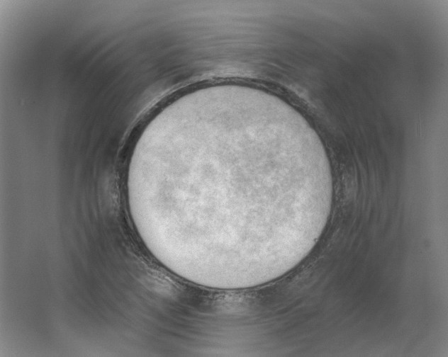 X0000062871266200601271546