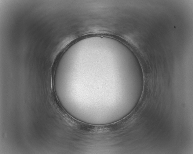 X0000062871269200601271546