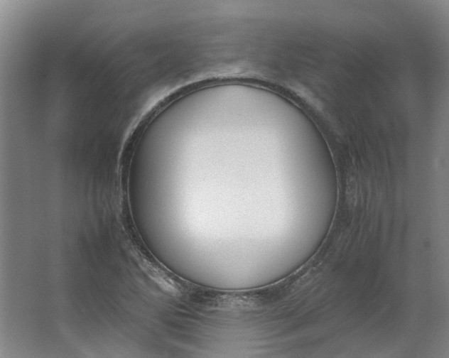 X0000062871270200601271546