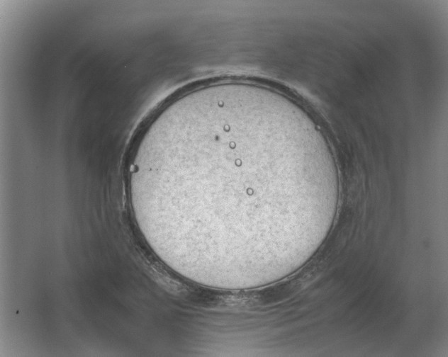 X0000062871271200601271546