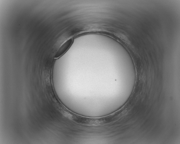 X0000062871273200601271546