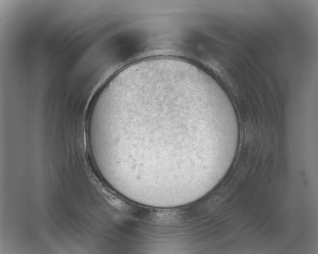 X0000062871274200601271546