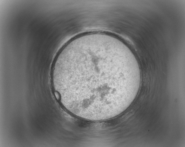 X0000062871279200601271546