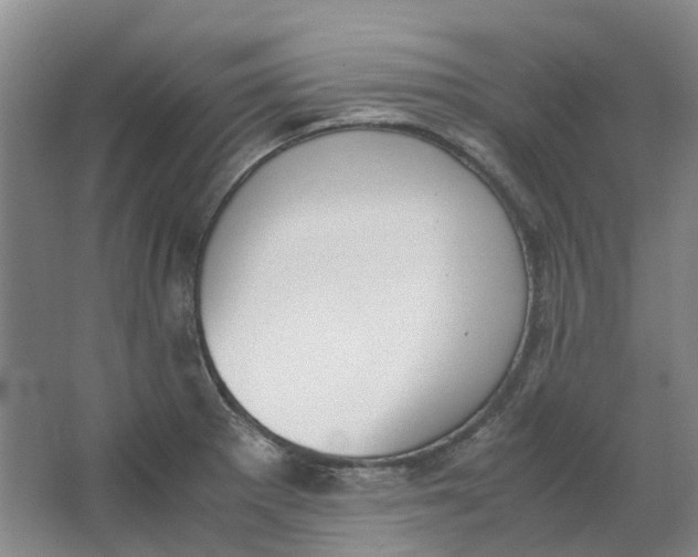 X0000062871281200601271546