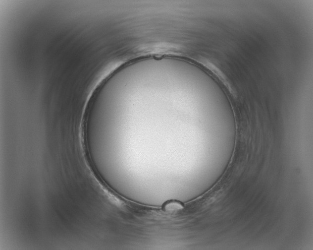 X0000062871285200601271546