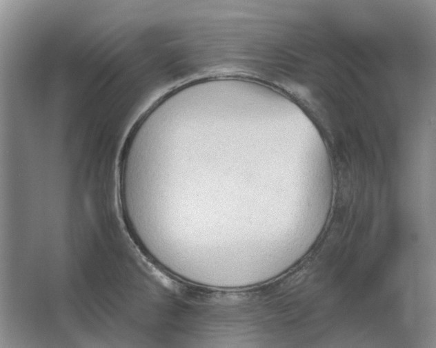 X0000062871286200601271546