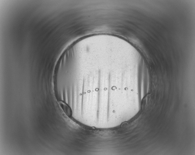 X0000062871288200601271546