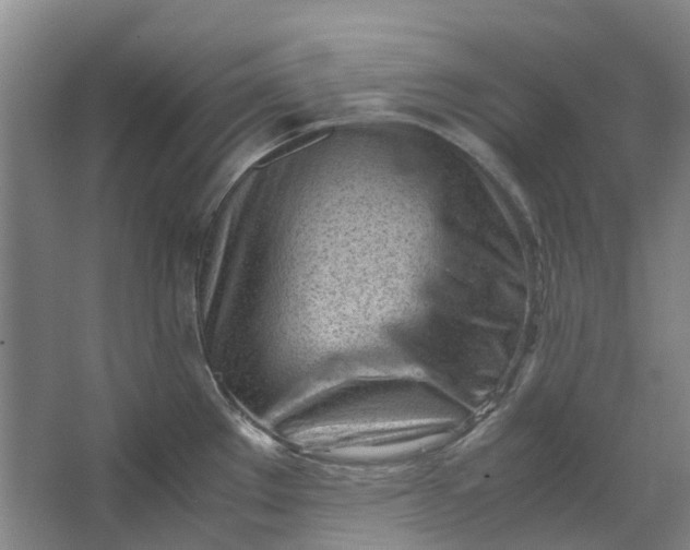 X0000062871289200601271546