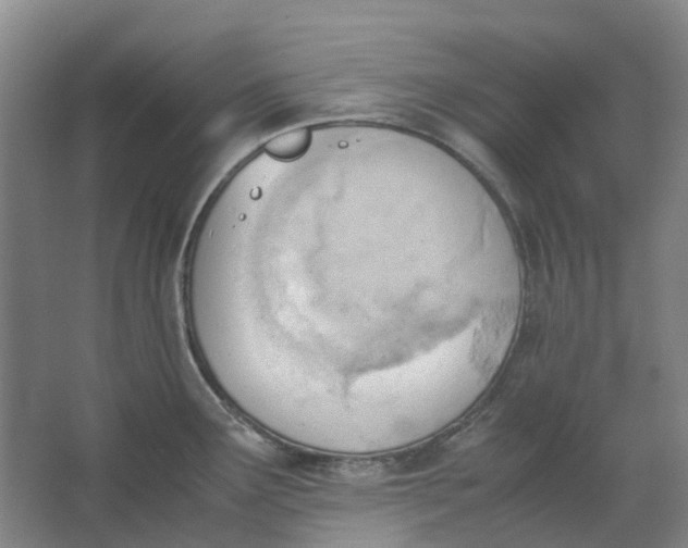 X0000062871291200601271546