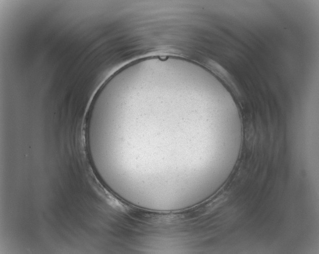 X0000062871292200601271546