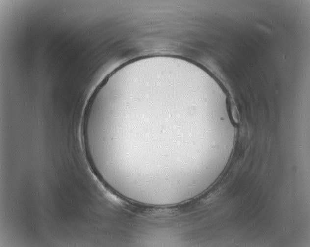 X0000062871293200601271546