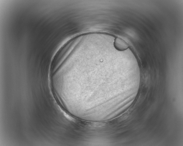 X0000062871294200601271546