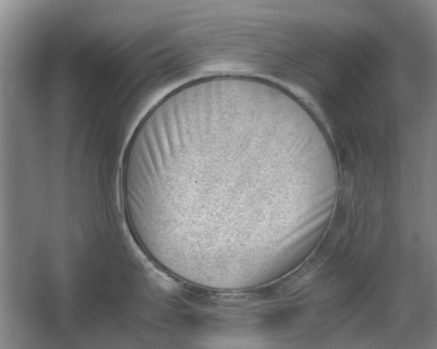 X0000062871295200601271546