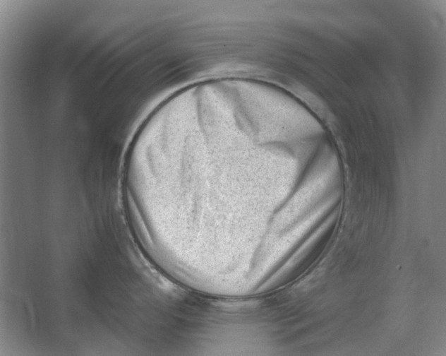 X0000062871296200601271546