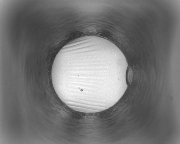 X0000062871297200601271545