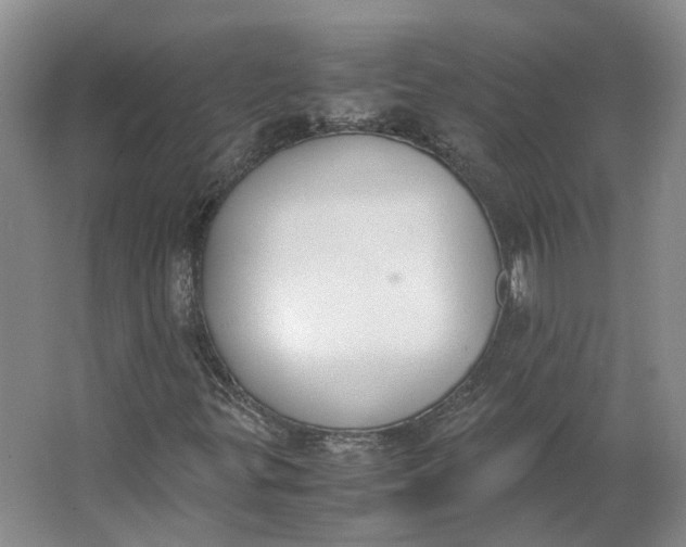 X0000062871299200601271545