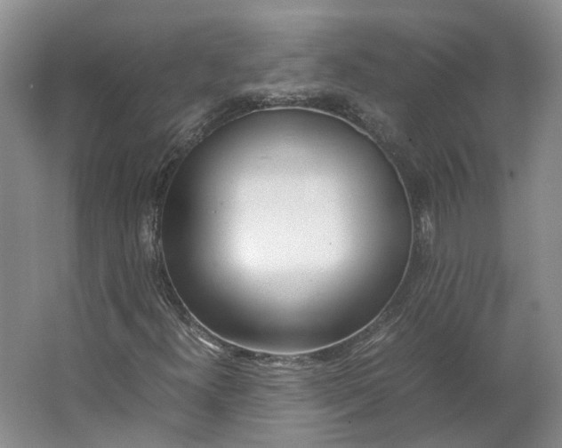 X0000062871300200601271545