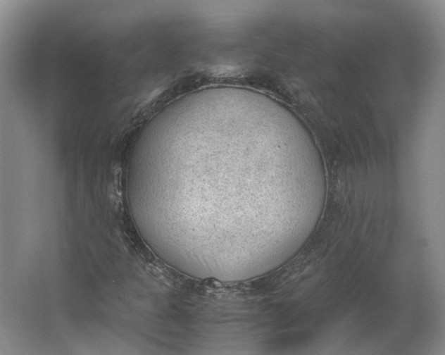 X0000062871301200601271545