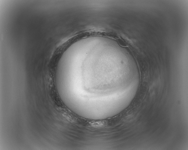 X0000062871303200601271545