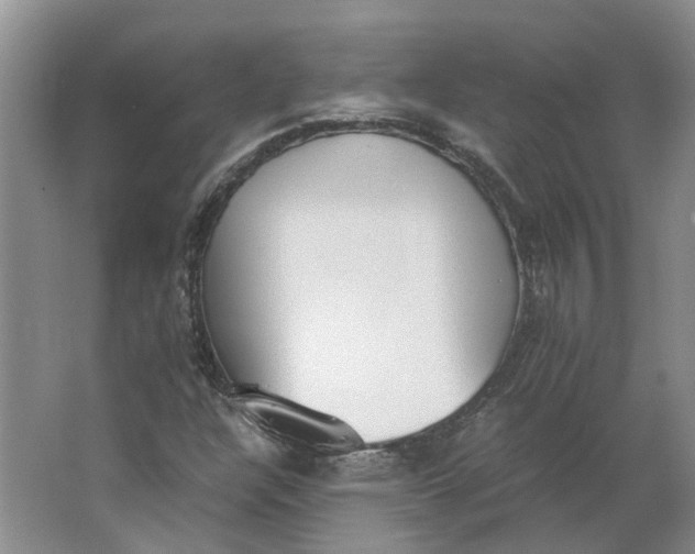 X0000062871304200601271545