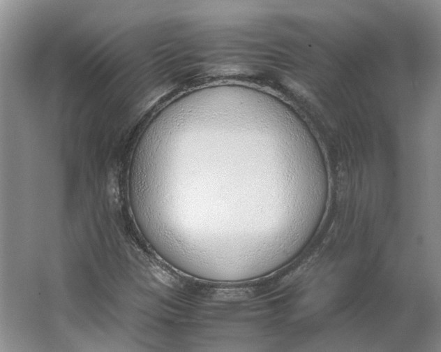 X0000062871305200601271545