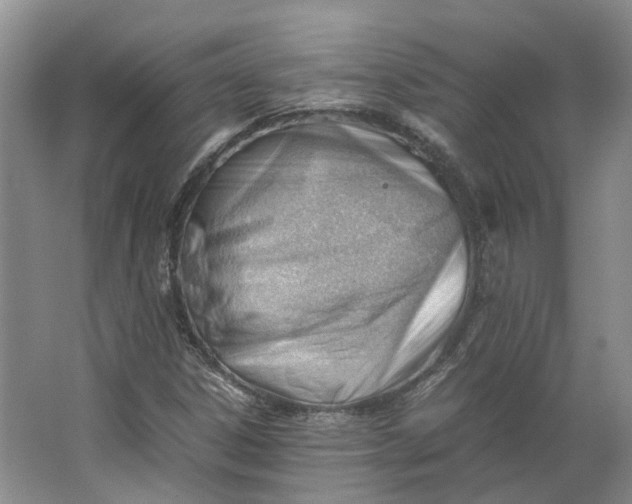 X0000062871306200601271545