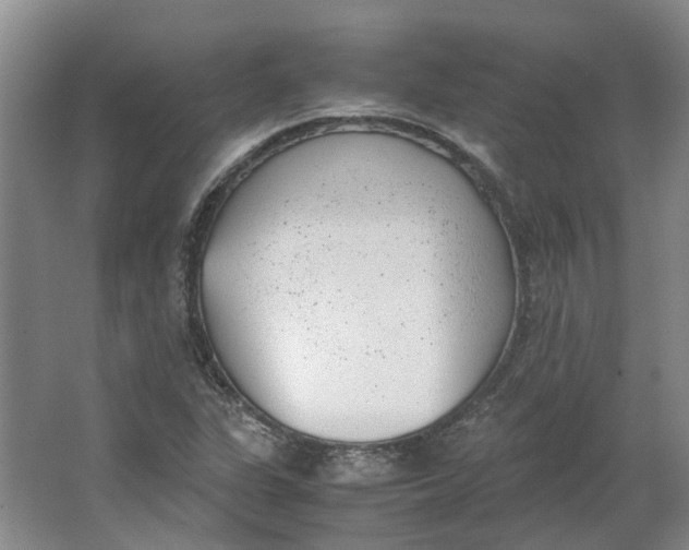 X0000062871311200601271545