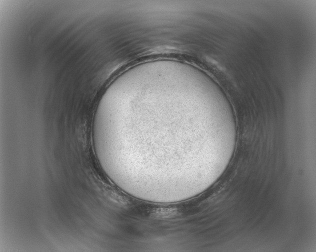 X0000062871313200601271545