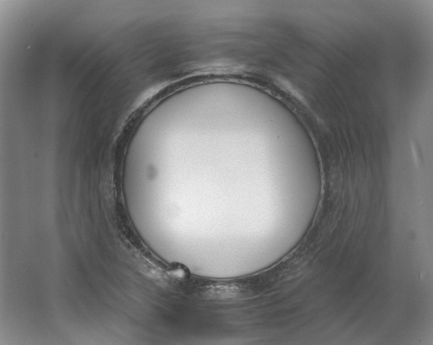 X0000062871315200601271545