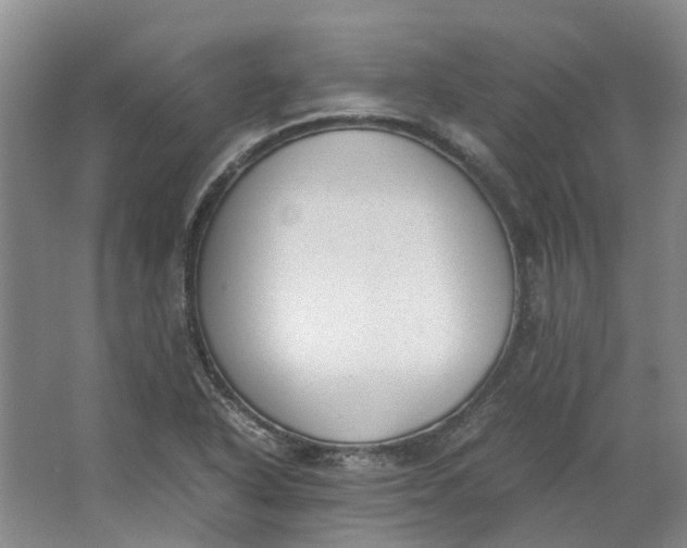 X0000062871318200601271545