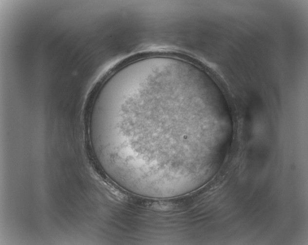 X0000062871319200601271546