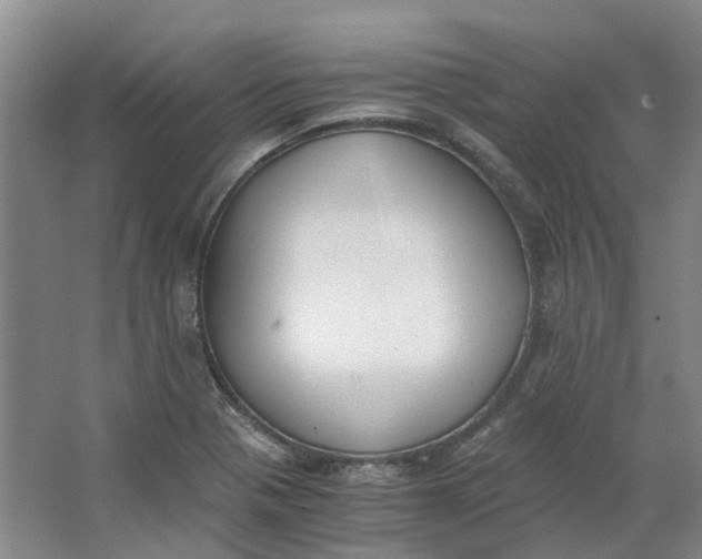 X0000062871321200601271546