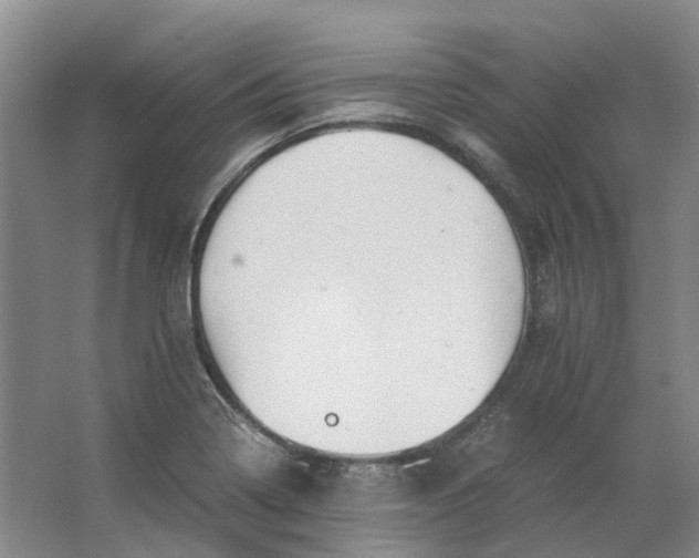 X0000062871322200601271546