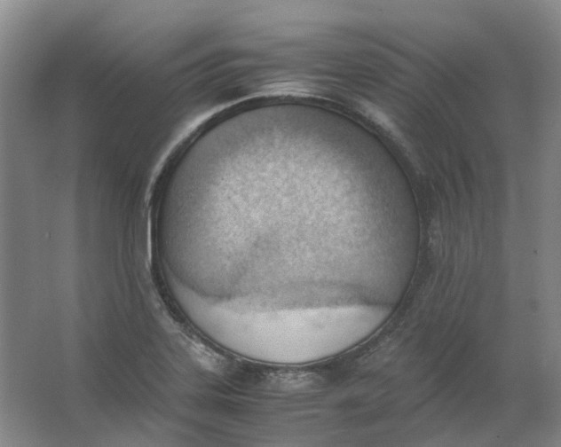 X0000062871323200601271546