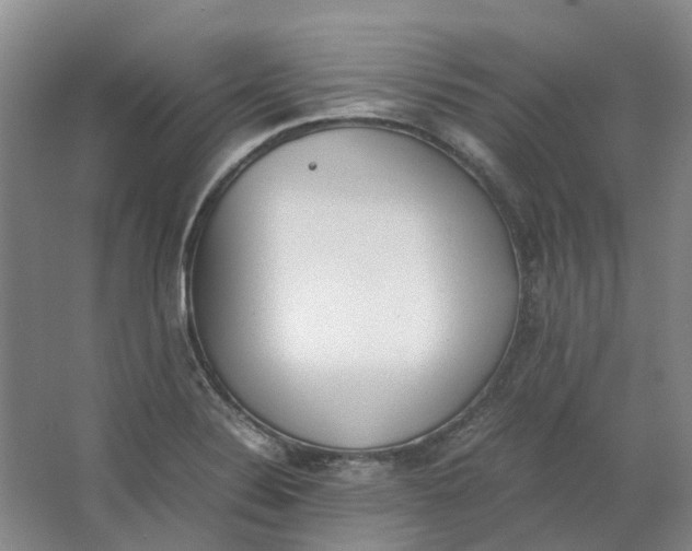 X0000062871324200601271546