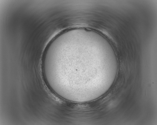 X0000062871325200601271546