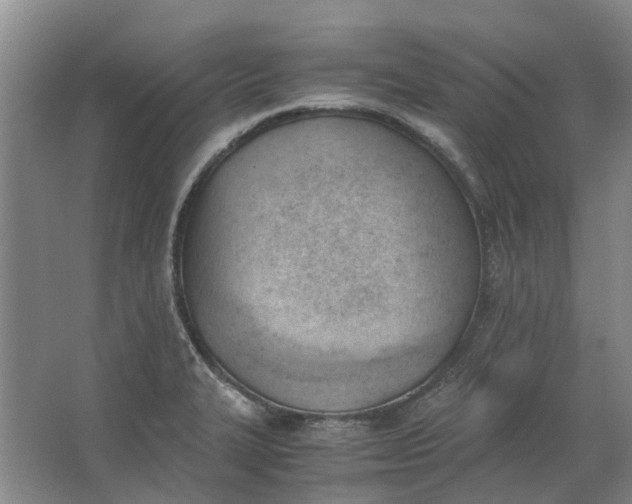 X0000062871327200601271546