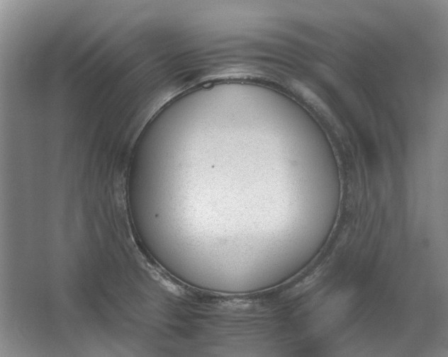 X0000062871329200601271546