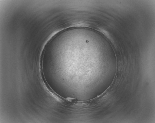 X0000062871331200601271546