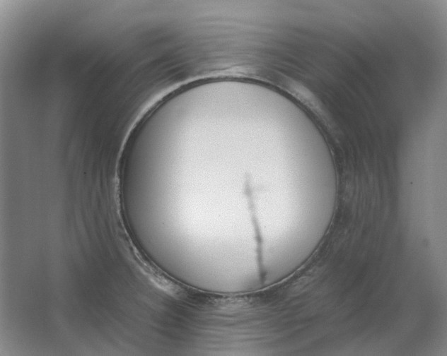 X0000062871332200601271546