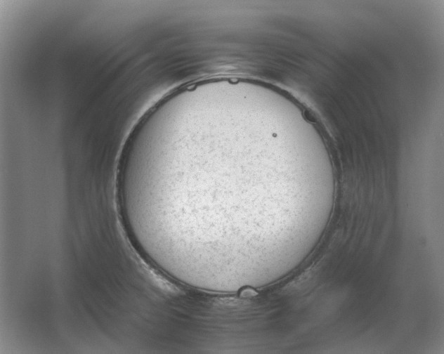 X0000062871333200601271546