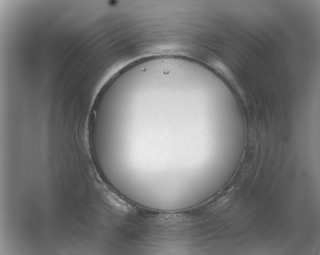 X0000062871336200601271546